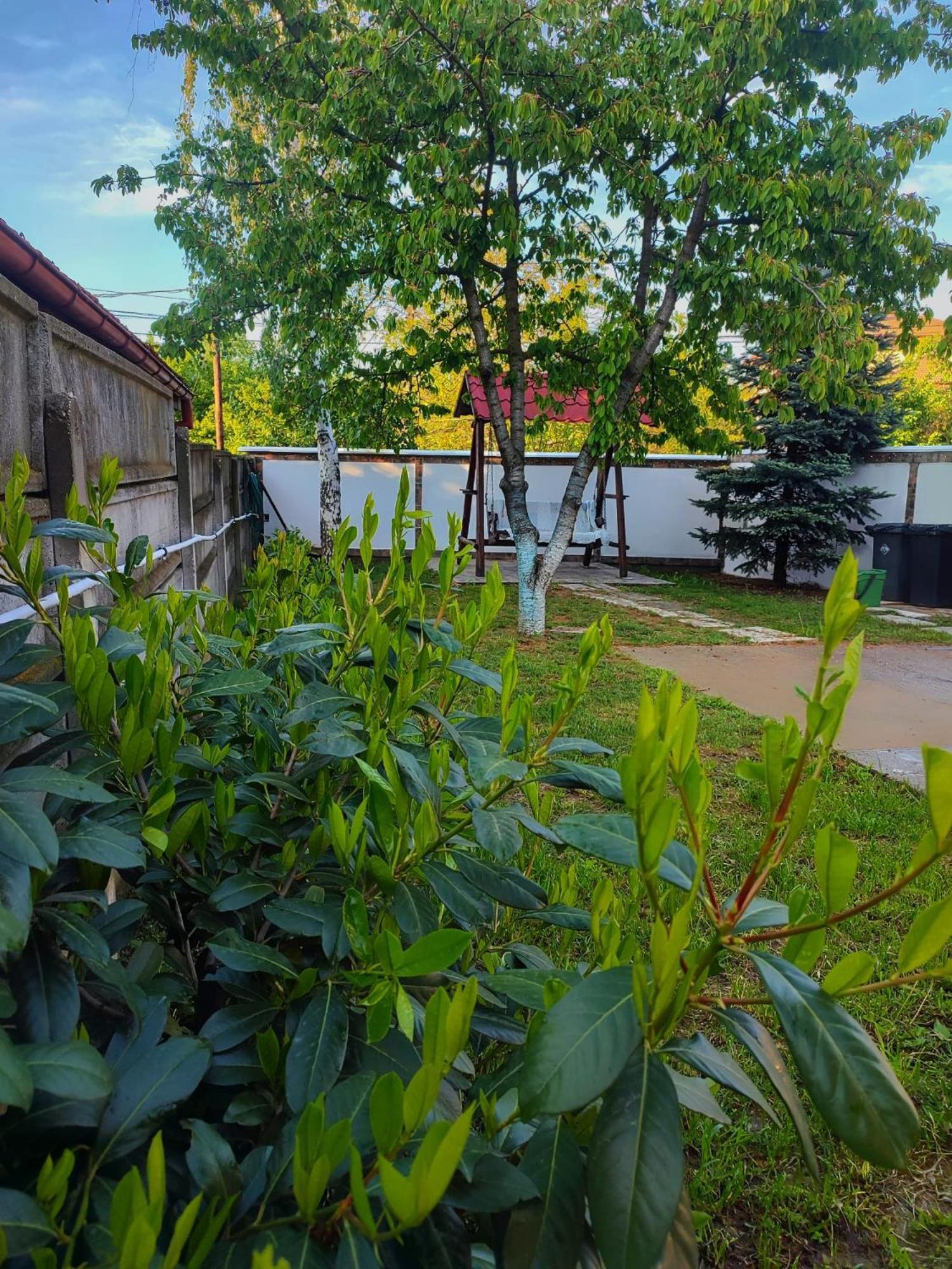 Séjour chez l'habitant Courtyard *