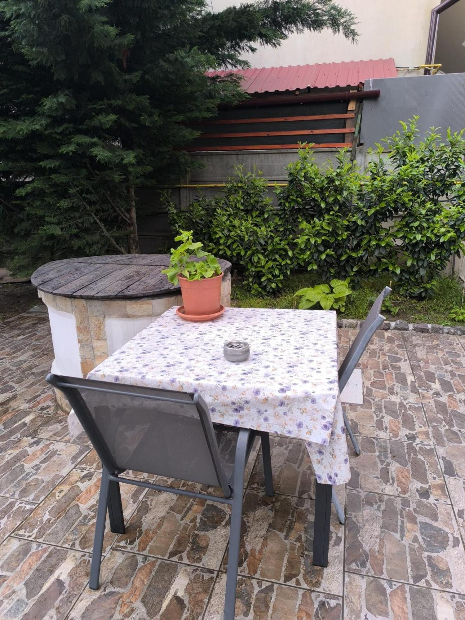 Courtyard Séjour chez l'habitant Oradea